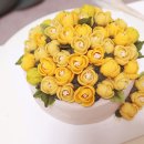 케이크봄 이미지