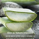 포에버리빙 - 영광군 옥당로 188 | 포에버리빙