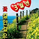 꽃길 - 김포시 흥신로 302 | 꽃길