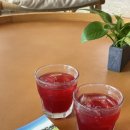 호텔알마 | 나트랑 알마리조트 호텔 파빌리온 스위트 테라스 오션뷰 후기