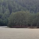 오일캠프 이미지