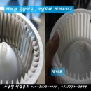 데일리카케어 이미지