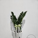 주식회사 철마로산업 이미지