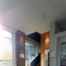 소망애견미용실 이미지