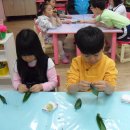 장백유치원 이미지