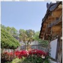 스테이 연 이미지