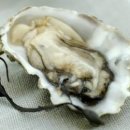 타워짐 피트니스 헬스 이미지