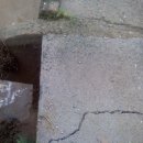 세련농장 이미지