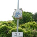 서울 가볼만한 곳 푸른수목원 불두화·공조팝 개화상황(2025.05.17.)
