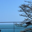 까사델 경주 이미지