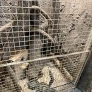 와수로216번길19 집 옆 | [인천 놀거리][인천 가볼만한 곳] 아이와 함께 가볼만한 [쥬벅스]