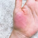 데일리딜라잇 | 디어달리아 리퀴드 블러셔 소프티, 딜라잇 쿨톤 추천템 내돈내산 솔직후기