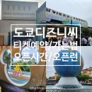 도쿄 디즈니씨 입장권 티켓 예약 가는법 오픈시간 거의 오픈런 후기
