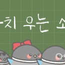 너나세 수아 낯이 익다 했더니 걷않다 민혁이 생각남….. 이미지