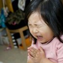 삼정통닭 이미지