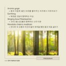 북서울꿈의숲(야외) 이미지