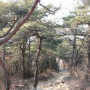 만수약수터 이미지