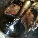 오토오아시스 이마트원주점 이미지