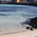 김녕기억 이미지