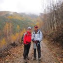 서원동-2 이미지