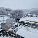 용인해바라기카페