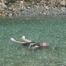 담터계곡펜션 이미지