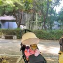 스타벅스커피 일산주엽점 이미지