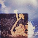 하남사진작가협회 회원전 이미지