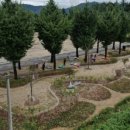 오선초등학교 이미지