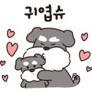 퍼피스프링 강서점 이미지