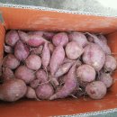 여주-0589 이미지