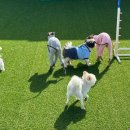 사랑한다, 멍 이미지