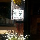 들꽃이야기 이미지