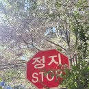 봉평 옹심이 메밀칼국수 | 마포 공덕 맛집 줄서서 먹는 봉평옹심이메밀칼국수 예약 주차 후기