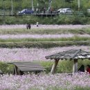 대덕축산 이미지