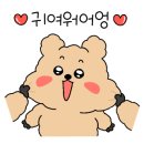 두두펫케어 이미지