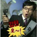 서라온5 | [길리 여행] 길리 패들보트: 서프길리 후기