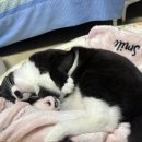 (주)풍건 이미지