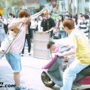 옥탑방 고양이 이미지