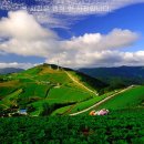 대기리마을회관 이미지