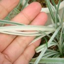 백룡농장 이미지