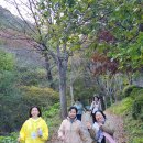 호두나무펜션 이미지