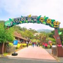 하늘빛수목원