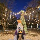 우주 게임랜드 이미지