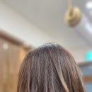 함스헤어앤스파
