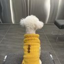 카페브이 이미지