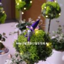 [주말]힐링 원예테라피 이미지
