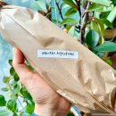 [서울/이수/사당] 귀엽고 맛있는 사당동 동네 빵집 딴짓제과점 (햄치즈 바게트, 치아바타 샌드위치)