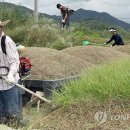장수읍안양마을로 이미지