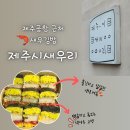 제주시새우리 | 제주 공항 근처 딱새우김밥집-제주시새우리 / 내돈내산 솔직후기 / 재방문의사 70%